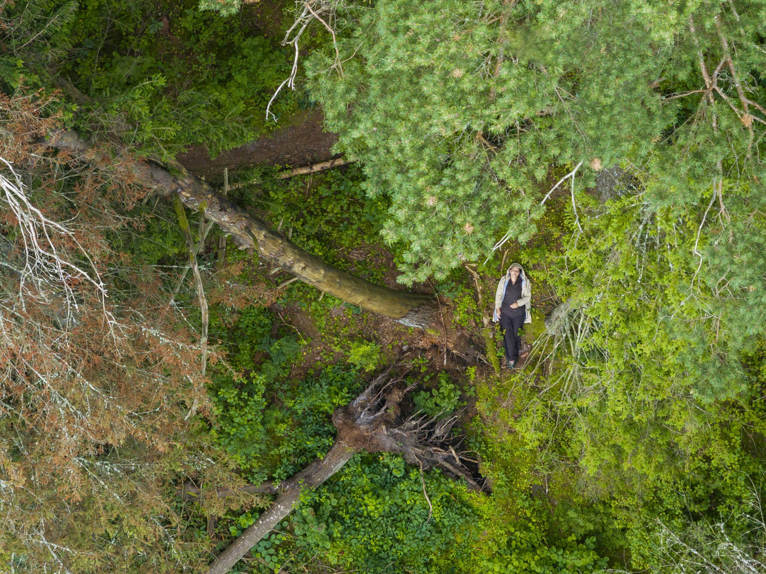 „Per miško maudynes pasodinu sėklą, o kada ji išdygs, priklauso nuo kiekvieno dalyvio.“ Nuotr. M. Judriaus